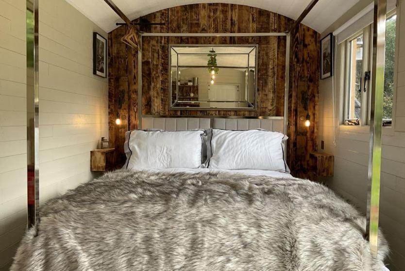 ホテル Gillan Creek Retreat ヘルストン エクステリア 写真